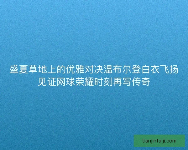 盛夏草地上的优雅对决温布尔登白衣飞扬见证网球荣耀时刻再写传奇