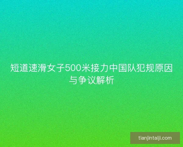 短道速滑女子500米接力中国队犯规原因与争议解析