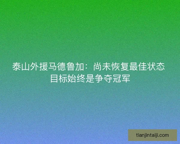 泰山外援马德鲁加：尚未恢复最佳状态 目标始终是争夺冠军
